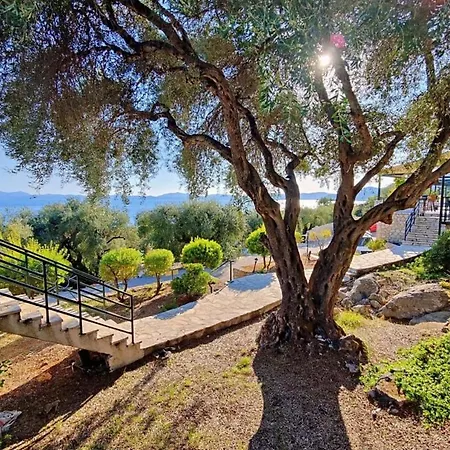 Cassia - Ground Floor 100m To Holiday home